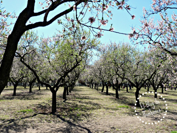 La quinta de los molinos en Madrid